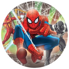 6164d Disc vafa Spiderman d14.5cm